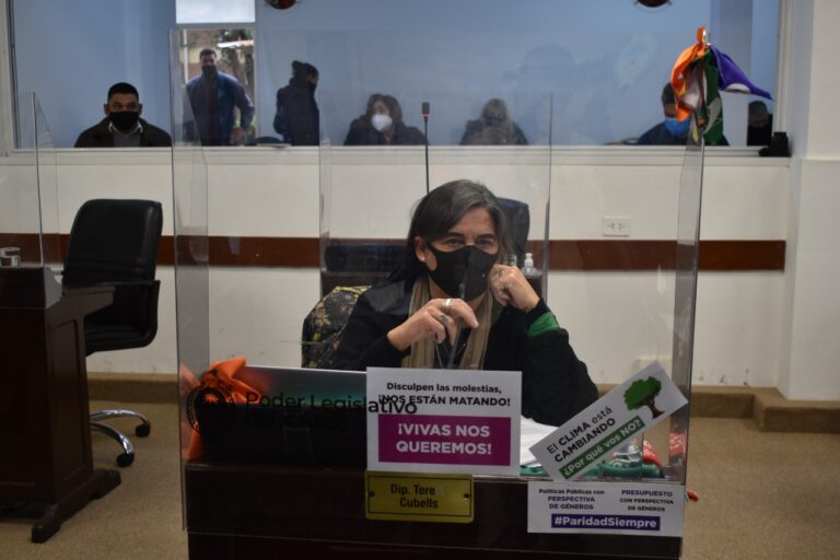 Cuestión Previa de la Diputada Tere Cubells sobre la creciente Violencia de Género